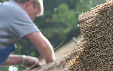 professional Llanellen thatchers